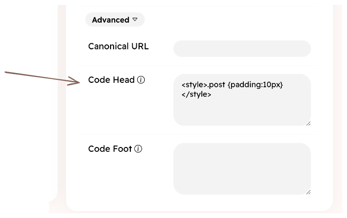 Custom code in post settings